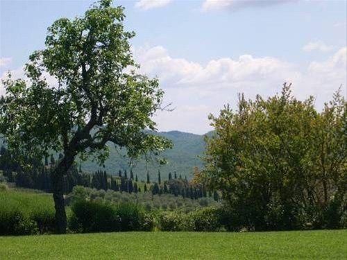 Outdoor Pictures 23