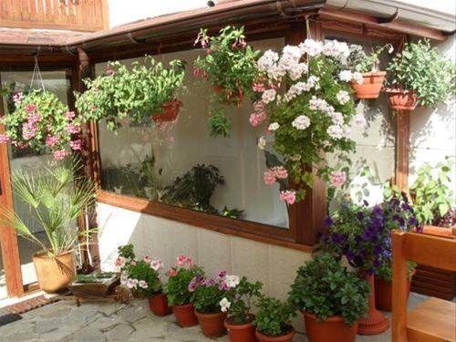 Outdoor Pictures 20