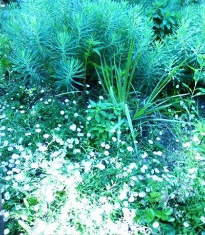 Outdoor Pictures 7