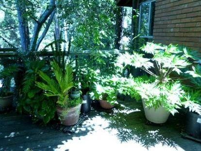 Outdoor Pictures 5
