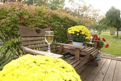 Outdoor Pictures 20