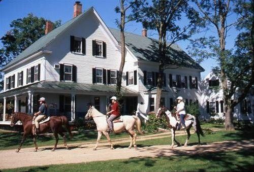 FARM BY THE RIVER BED AND BREAKFAST WITH STABLES