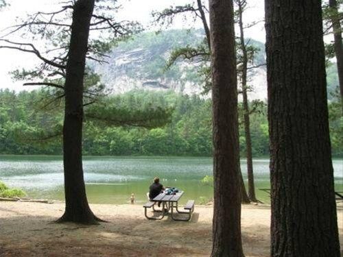 Outdoor Pictures 5
