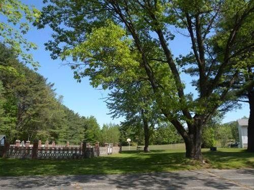 Outdoor Pictures 15