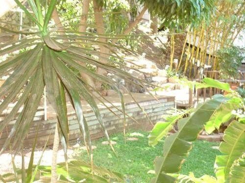 Outdoor Pictures 10
