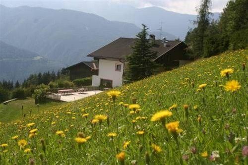 Outdoor Pictures 22
