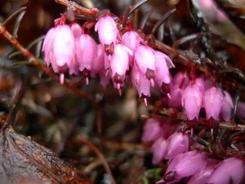 Outdoor Pictures 11