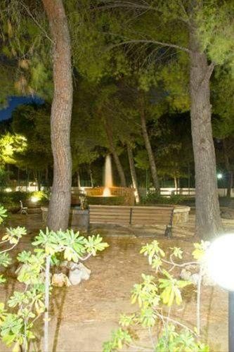 Outdoor Pictures 17