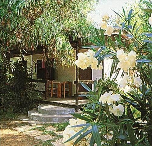 Outdoor Pictures 1
