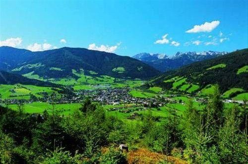 Outdoor Pictures 19