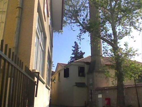 Outdoor Pictures 1