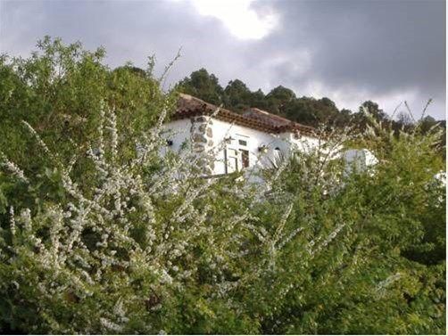 Finca Los Ciruelos Casas Rurales