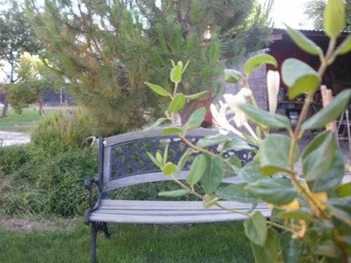 Outdoor Pictures 10