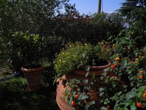 Outdoor Pictures 7