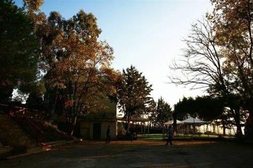 Outdoor Pictures 13