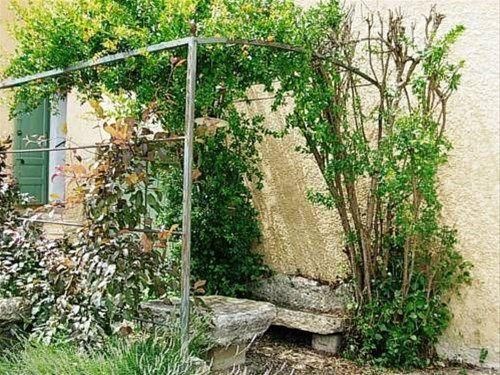 Outdoor Pictures 7