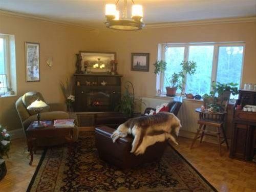 ALASKA GRIZZLY LODGE