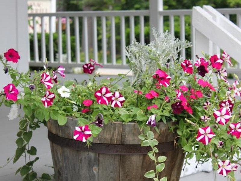 Outdoor Pictures 20