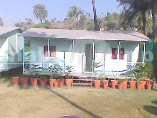 Outdoor Pictures 7