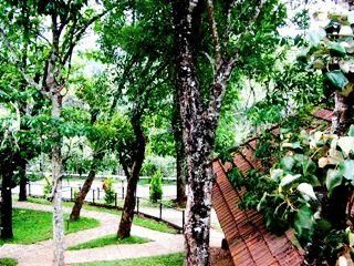 Outdoor Pictures 21