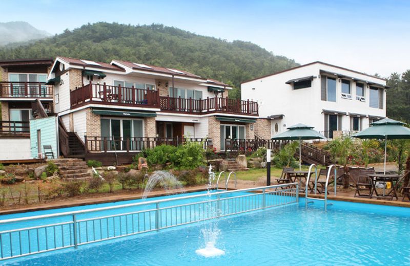 Pygmalion pension