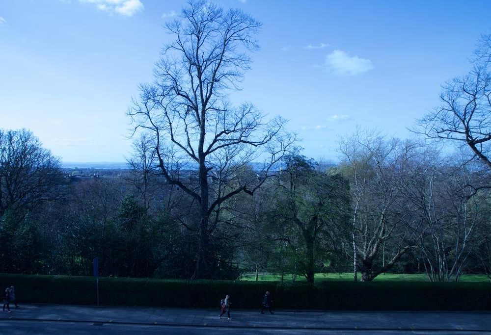 Outdoor Pictures 24