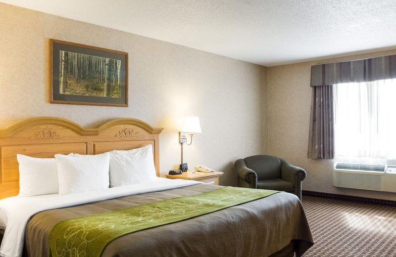 Comfort Inn & Suites Near Custer State Park and Mt Rushmore