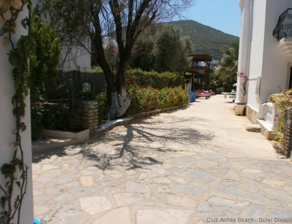 Outdoor Pictures 22