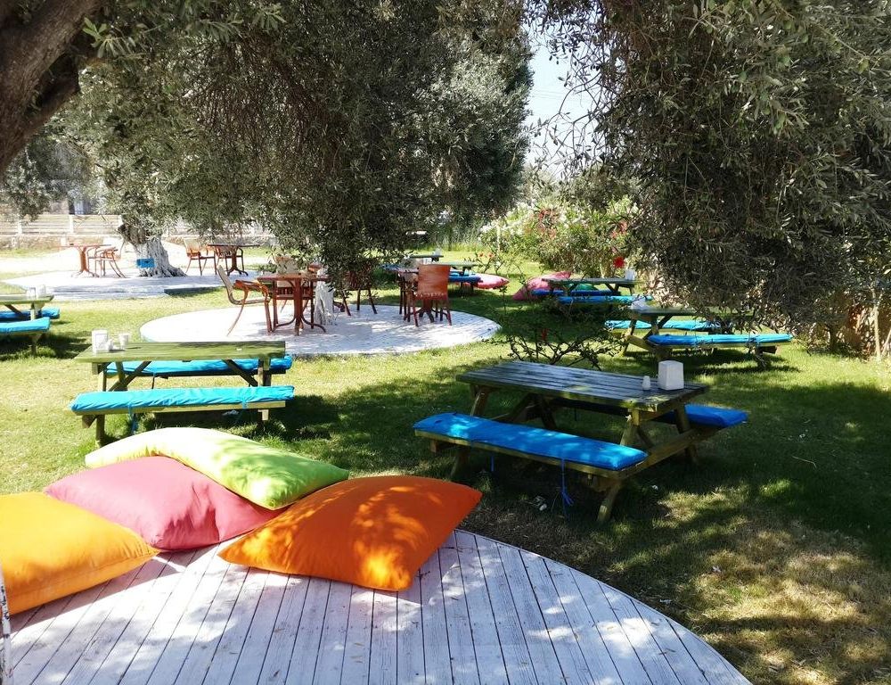 Outdoor Pictures 10
