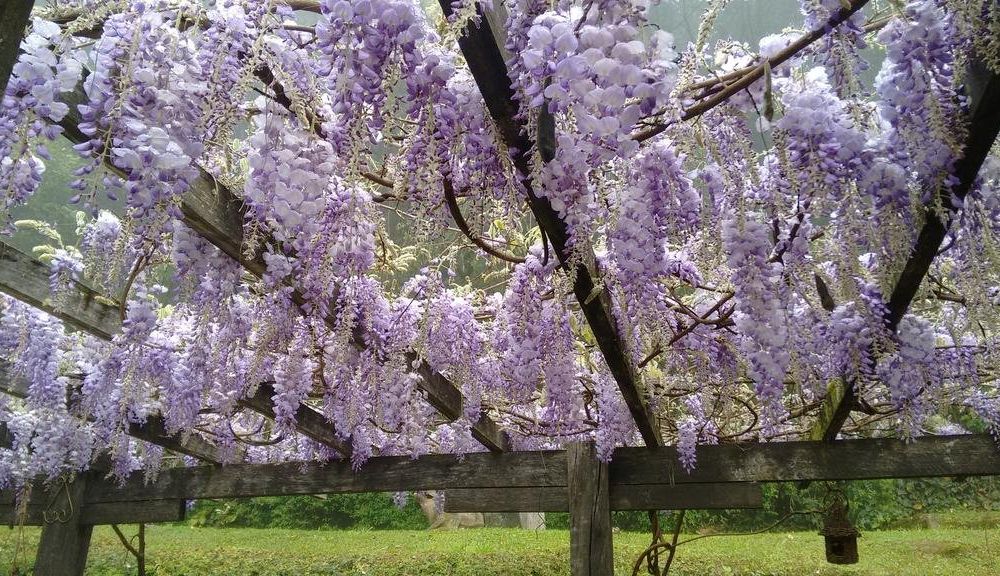 Outdoor Pictures 22
