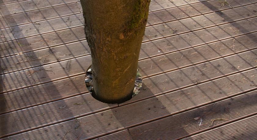 Outdoor Pictures 6
