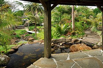 Outdoor Pictures 16