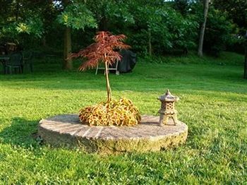 Outdoor Pictures 20