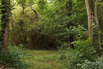 Outdoor Pictures 22