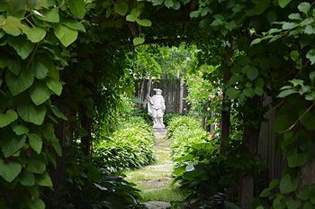 Outdoor Pictures 5