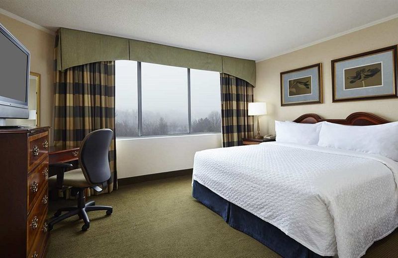 Embassy Suites Baltimore - at BWI Airport