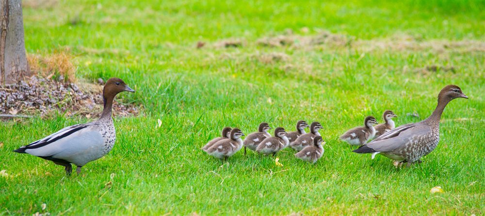 Outdoor Pictures 19