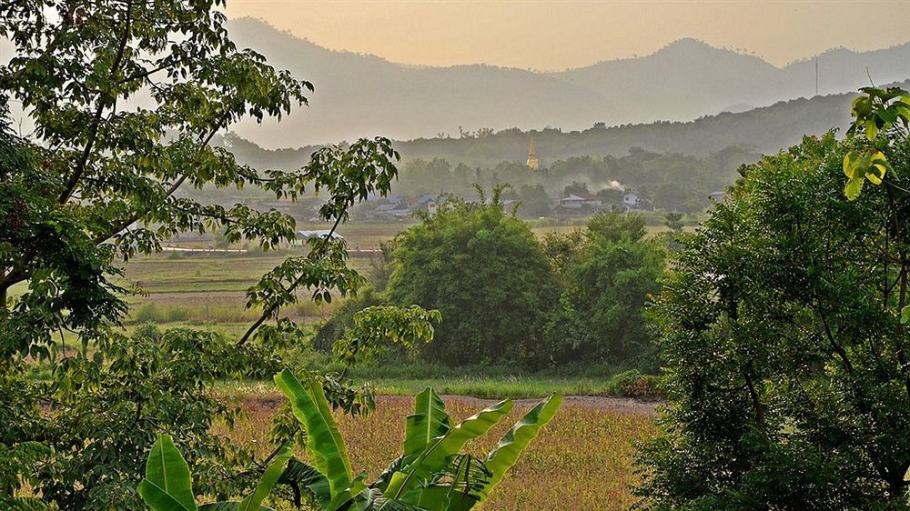 Outdoor Pictures 21