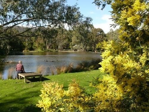 Outdoor Pictures 20