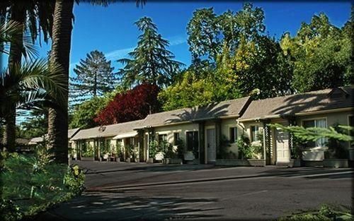 Marin Lodge