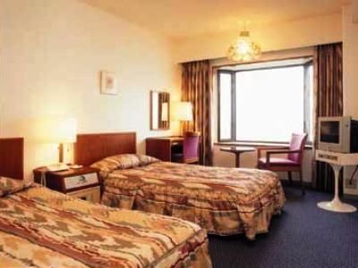 Hikone View Hotel
