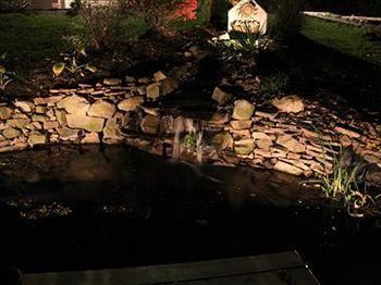 Outdoor Pictures 13