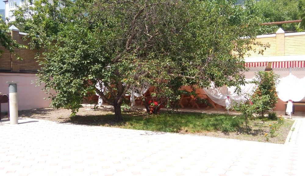Outdoor Pictures 22
