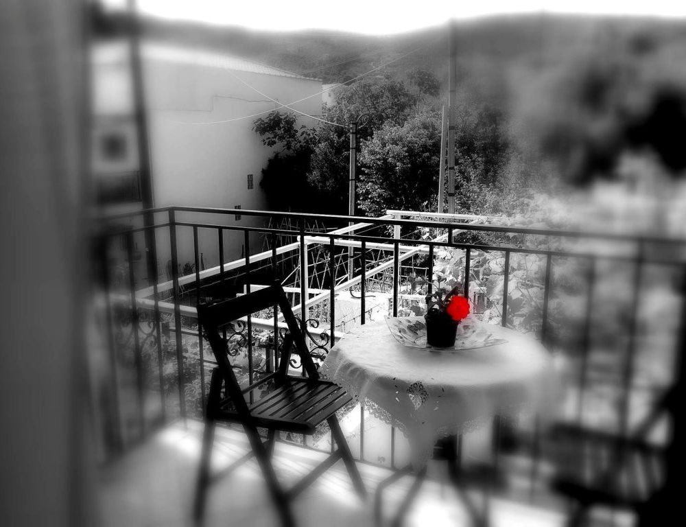 Outdoor Pictures 20