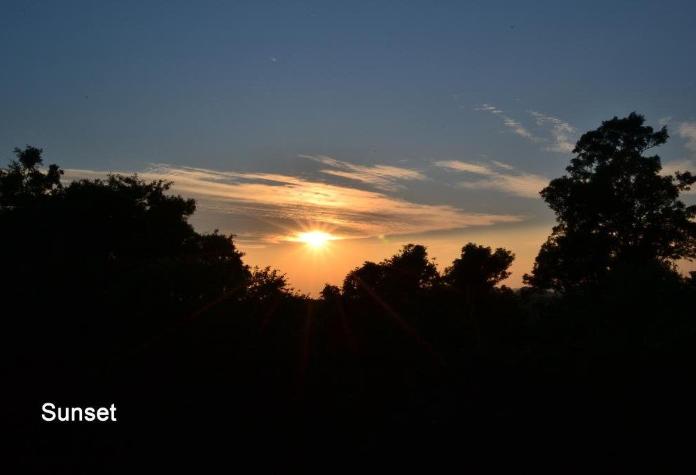 Outdoor Pictures 22