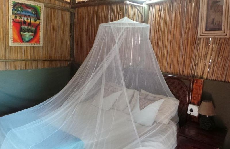 MARCS TREEHOUSE LODGE