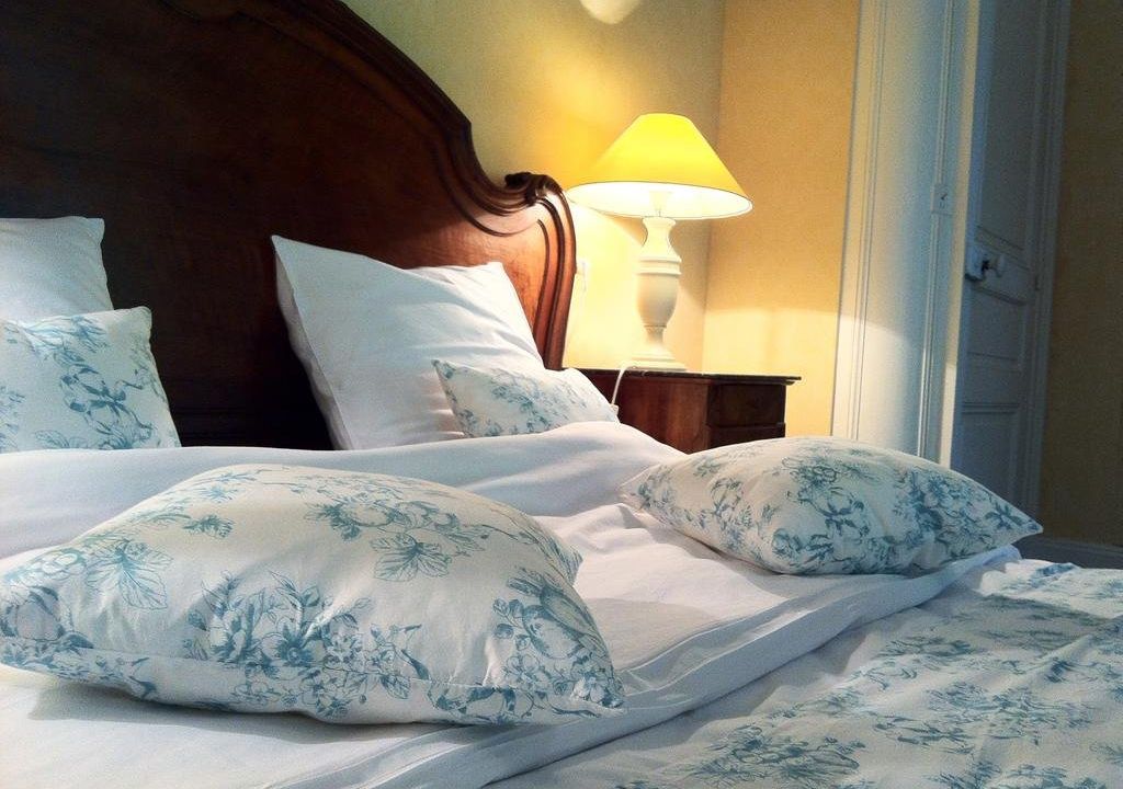 Charming Apartment in a 17th Century House - fast wifi, large park
