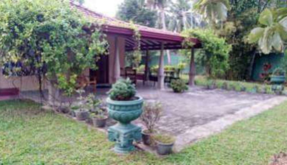Outdoor Pictures 12