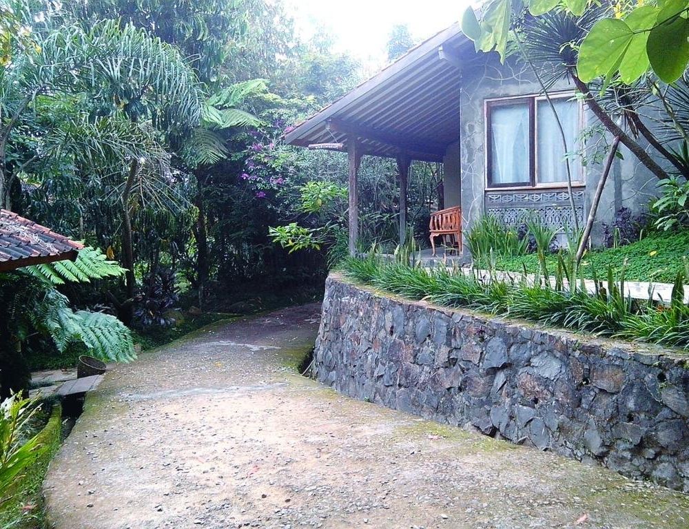 Outdoor Pictures 1