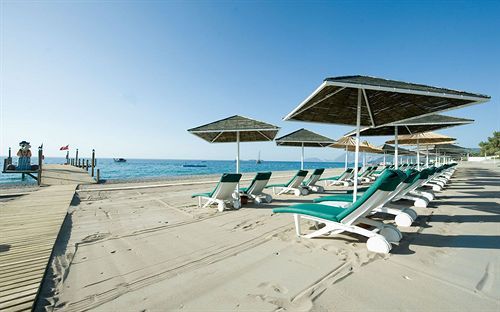 Pirate's Beach Club